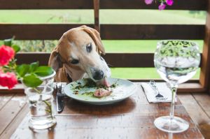 0EEA7B27-8656-4759-8E35-3B703B7165B5