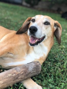 0D9DC57A-65F7-470E-B00A-E93A416A6EC5