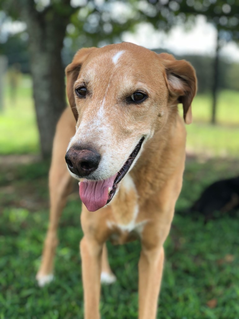 6B82DD83-2DBD-47B0-854B-E12B3CB240CF