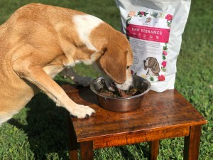 7A10067B-5521-4873-B4AA-9509F12F5C17