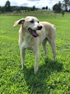 958E65D3-398A-4892-8B03-7345C8DC41FE