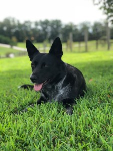 B136687C-84D4-4CF4-BED8-5A8DEBDF956A