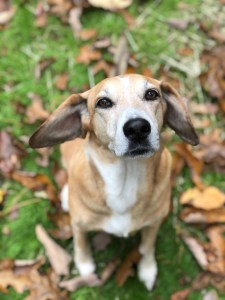 E05B31FB-52BF-4C92-A52B-152CD9E3138E