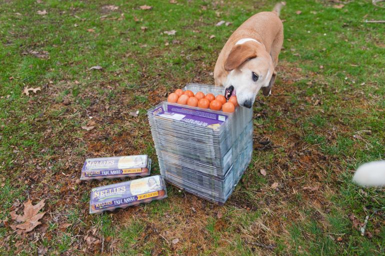 4DC8B6CA-1F5A-4E65-B6DC-08DE2AAB0E37