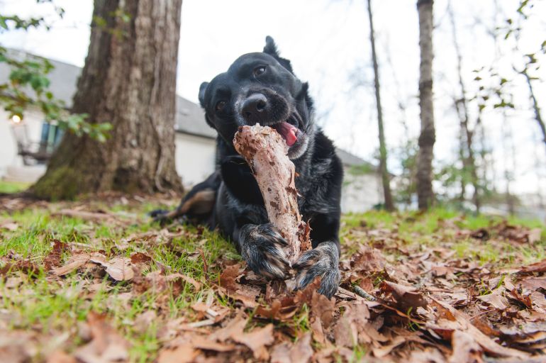 5C53F451-ACC3-4C29-A6AB-FAD3C2F47542