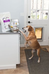 f7fb079b-f977-4a34-b353-ed0e062bc7ac