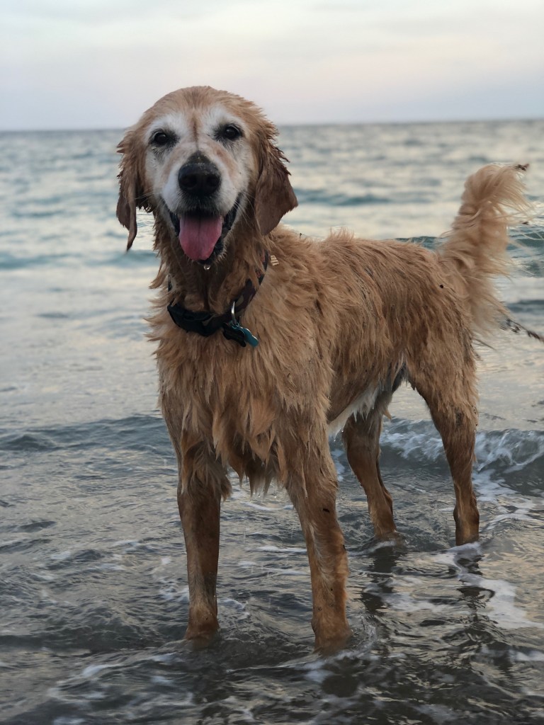 3A985871-1649-4191-B13A-C6EAFB45B58D